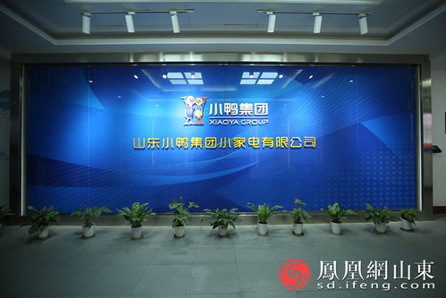 小鴨向新 2021探尋濟(jì)南企業(yè)高質(zhì)量發(fā)展媒體行 將走進(jìn)小鴨集團(tuán)鳳凰網(wǎng)山東 鳳凰網(wǎng)