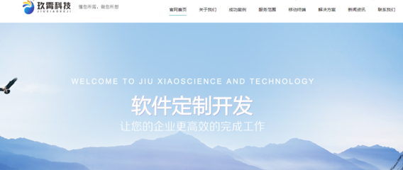 濟(jì)南企業(yè)網(wǎng)站開發(fā) 定制解決方案助您實現(xiàn)數(shù)字化轉(zhuǎn)型