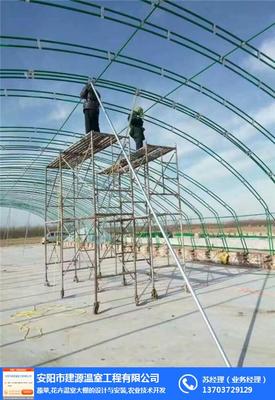 湖北地區溫室大棚建設工程設計要點與實施策略